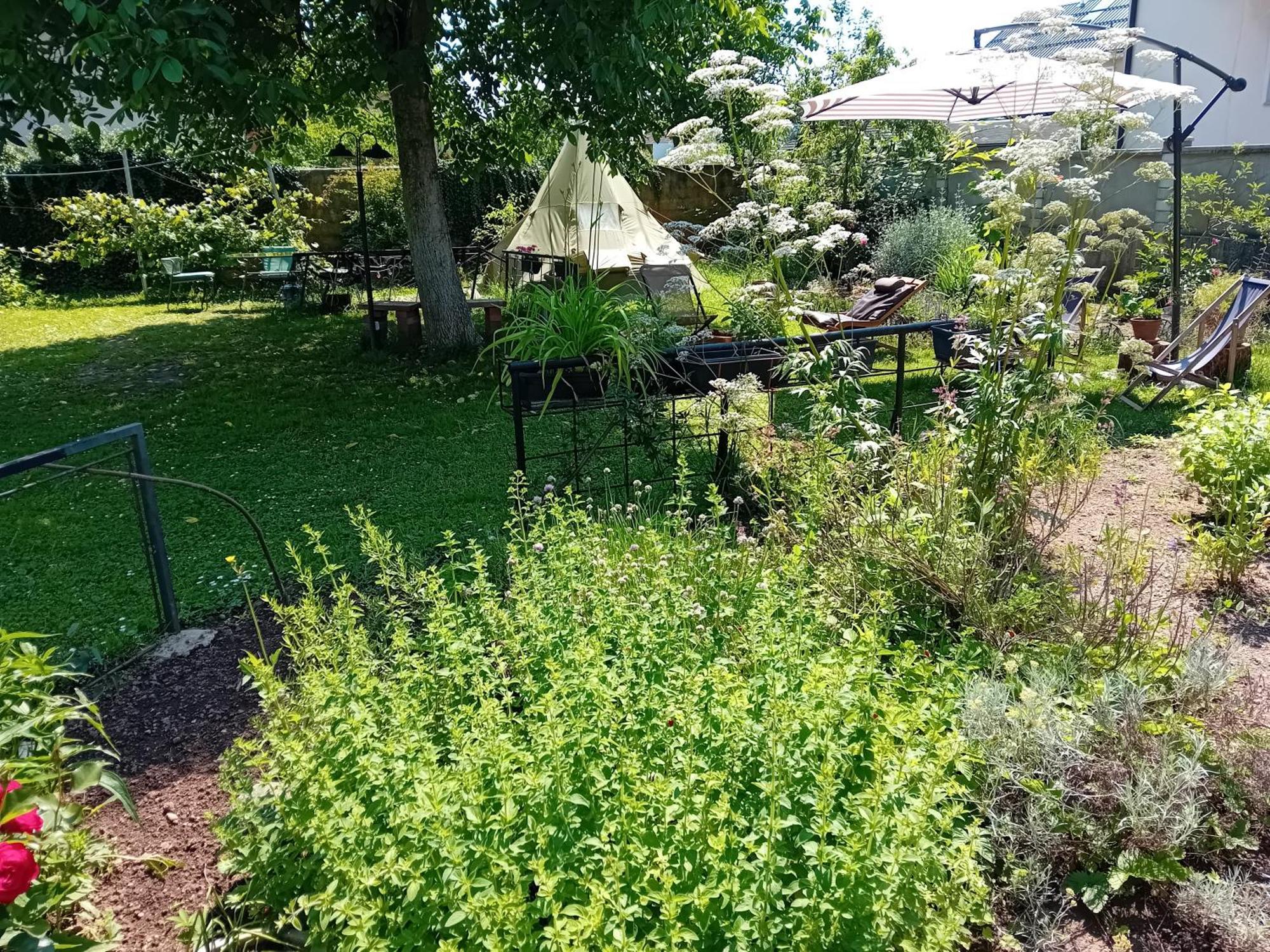 Indian Tent Tipi In Shared Lot And Shared Bathroom Mrse Buitenkant foto